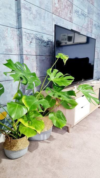 Stylish 2 Bedroom Apartment / Free Gated Parking غلاسغو المظهر الخارجي الصورة